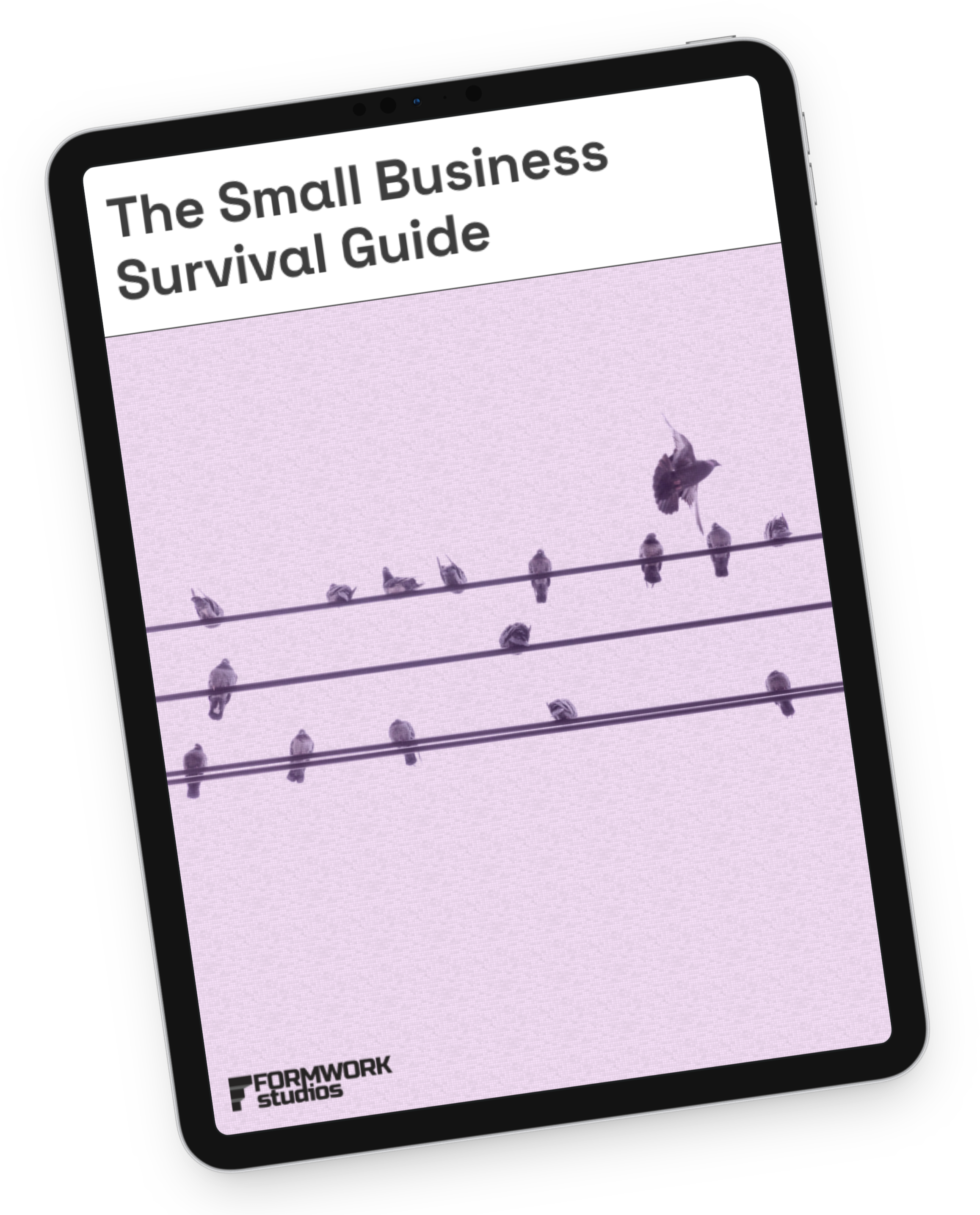 Small Business Survival Guide cover